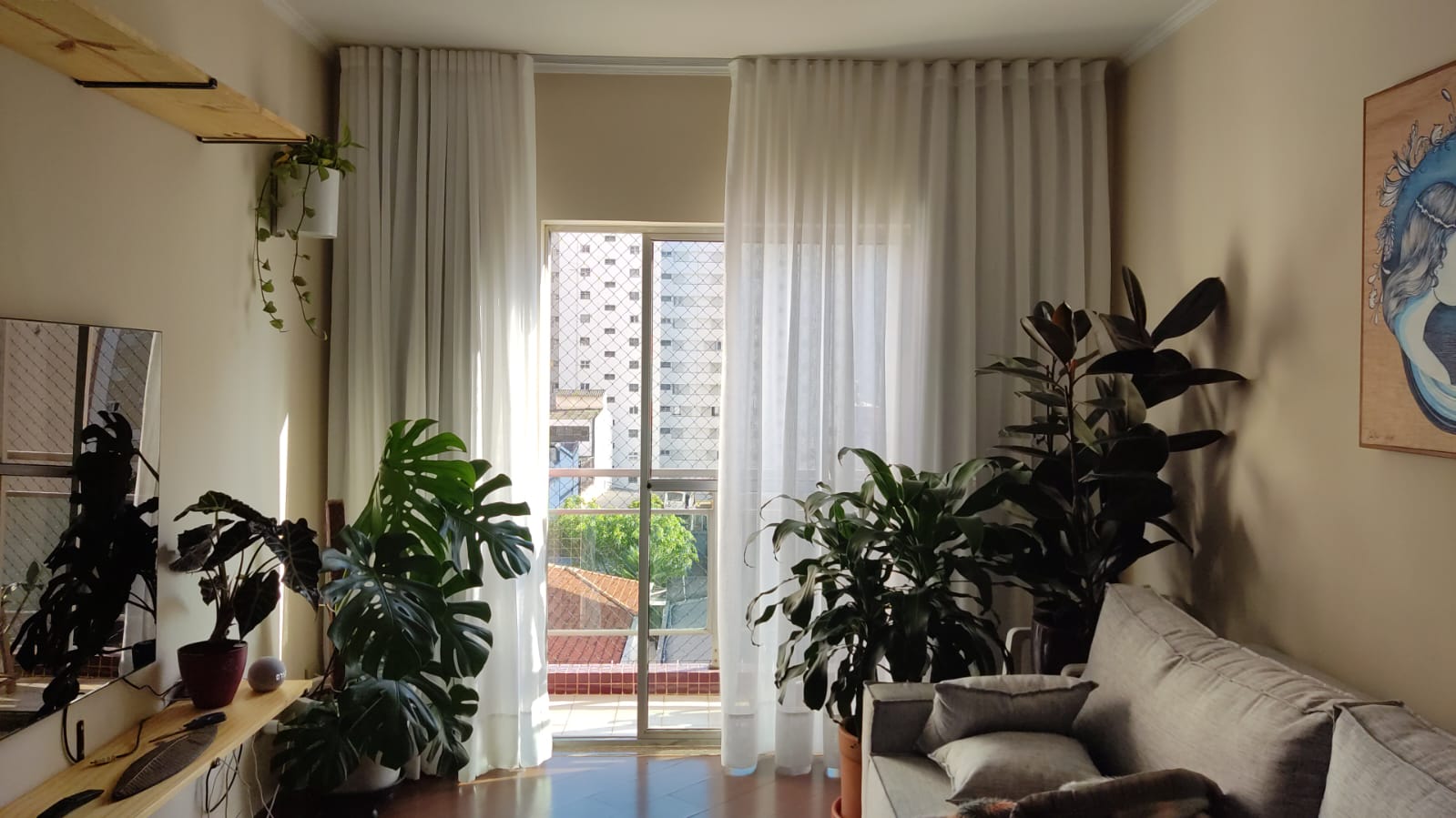 Rose Belas Cortinas foto 2
